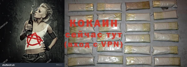 индика Остров