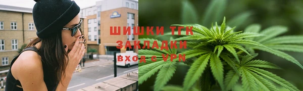 дмт Пестово