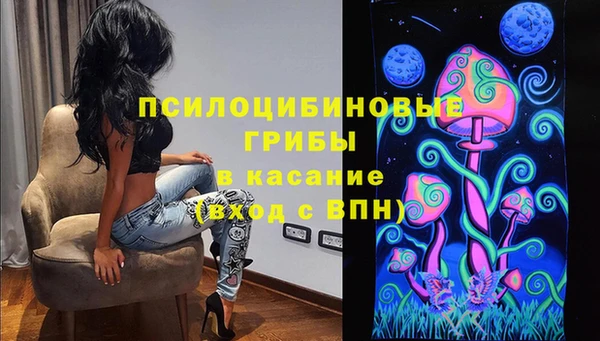 дмт Пестово