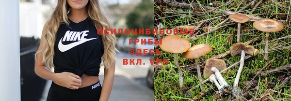 ALPHA PVP Пересвет