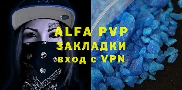 стафф Осташков