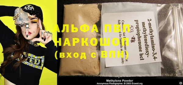 стафф Осташков