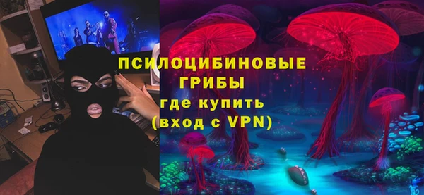 индика Остров